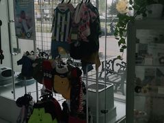 -欧奕国际动物医院