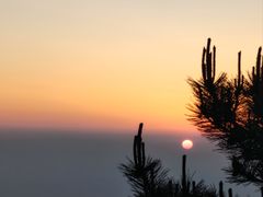 -黄山白云宾馆