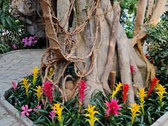 -北京植物园-展览温室