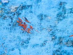 -蜜野MatYe城市营地·团建年会·亲子派对