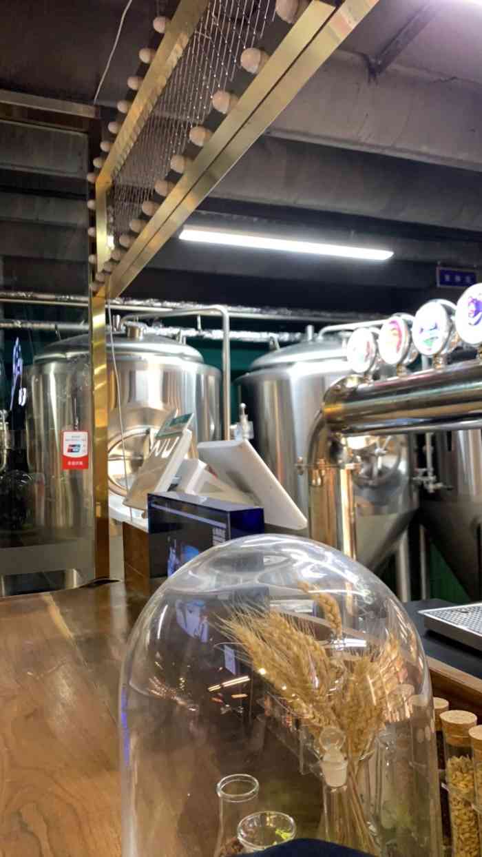 beer x lab 精酿酒吧(徐汇绿地缤纷城店)-"公司楼下的店,刚开业不到三