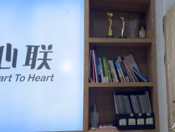 -心联形象设计·流星染