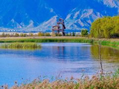 -野鸭湖国家湿地公园