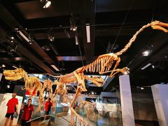 -墨尔本博物馆(Melbourne Museum)