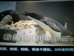 -左岸国际电影城(泉汇购物广场店)