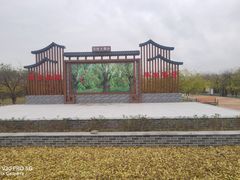 -千年枣林游览区