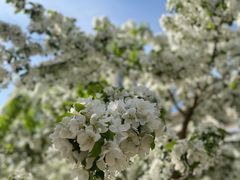 -远洋未来广场(育慧北路店)