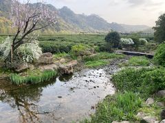 -中国茶叶博物馆(双峰馆区)