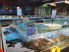 水产区-宝燕海货工场(长江国际店)