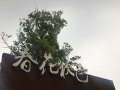 -春花秋色城市公园