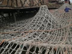 -呀路古热带植物园