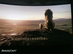 -金逸影城(大悦城IMAX激光店)