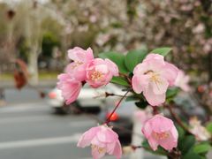 -武汉长江大桥
