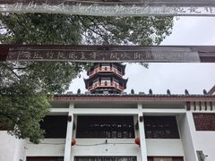 -绳金塔
