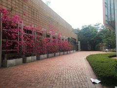 -香港大学