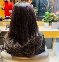 -木北造型
