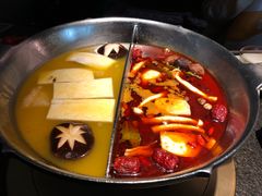 花胶鸡汤锅底-湊湊火锅·茶憩(新中关购物中心店)