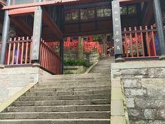 -青城山