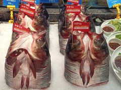 -孙掌勺鱼头泡饼(怀特店)