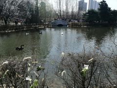 -长白岛森林公园