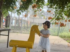 -前小桔亲子创意农场·草莓采摘·露营烧烤