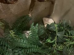-浅深(北京北四环精品店)