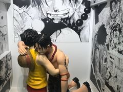 -东京塔海贼王主题公园