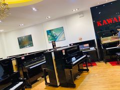 -柏斯琴行(汾阳店)