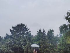 -北陵公园