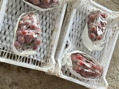 -马陆小张葡萄园农家乐