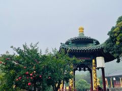 -华清宫景区