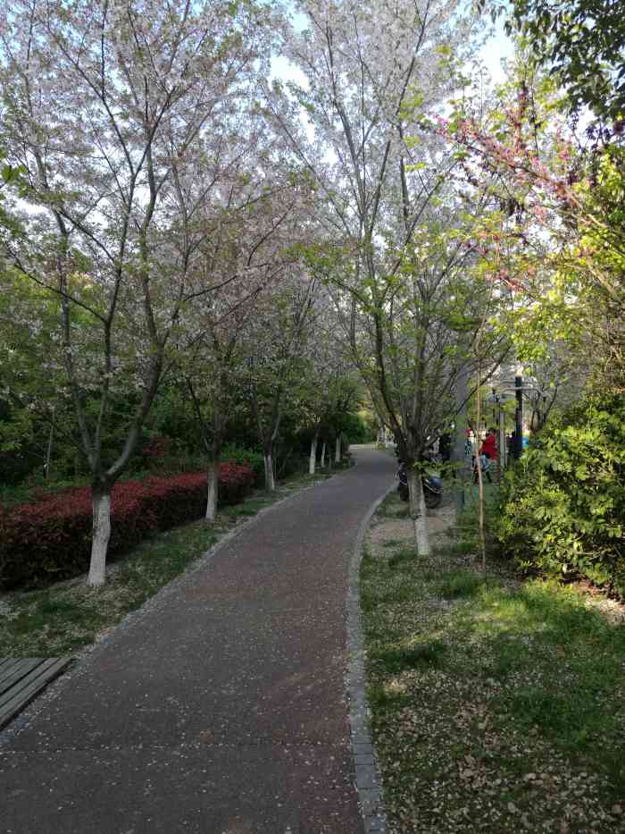 泰伯體育公園-