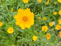 -同里国家湿地公园