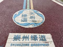 -桤木河湿地公园