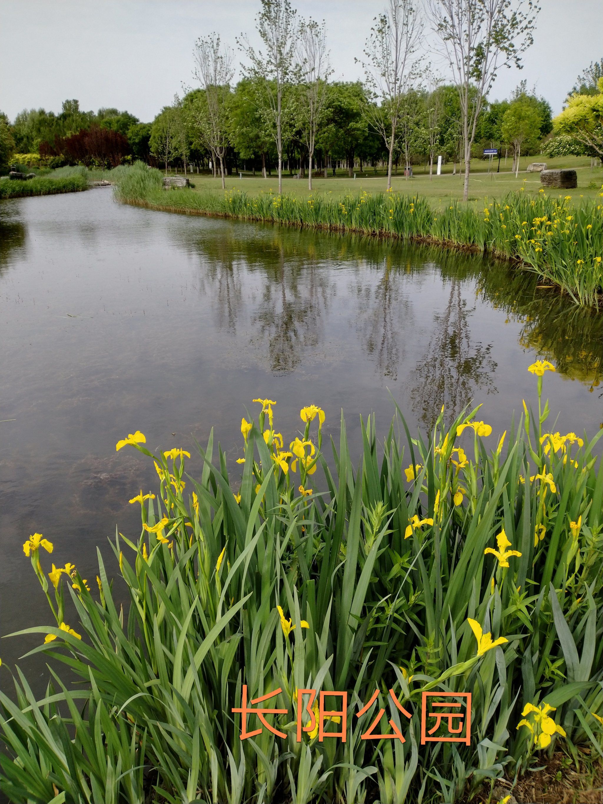 长阳公园