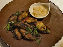 金不换煎焗白鳝-博多新记·粤菜(复兴店)