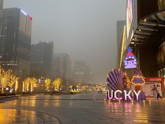 -合景·悠方(成都店)