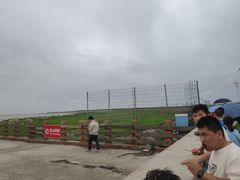 -碧海金沙