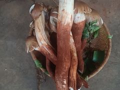 -云南木水花野生菌交易中心