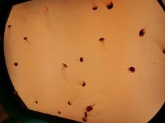 -沈阳海洋探索中心