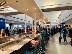 -纽瓦克自由国际机场