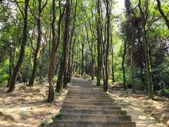 -火炉山森林公园