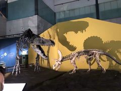 -湖南省地质博物馆