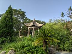 -老龙头景区