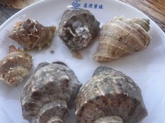 -蓝湾碧波·老字号·疍家非遗海上餐厅