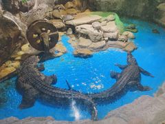 -多彩贵州城极地海洋世界