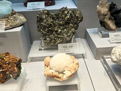 -湖南省地质博物馆