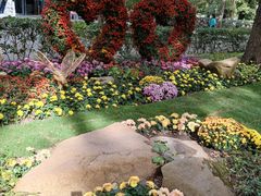 -上海共青森林公园