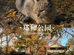 -郑和公园