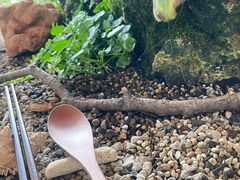 -曲廊院(东四十一条店)